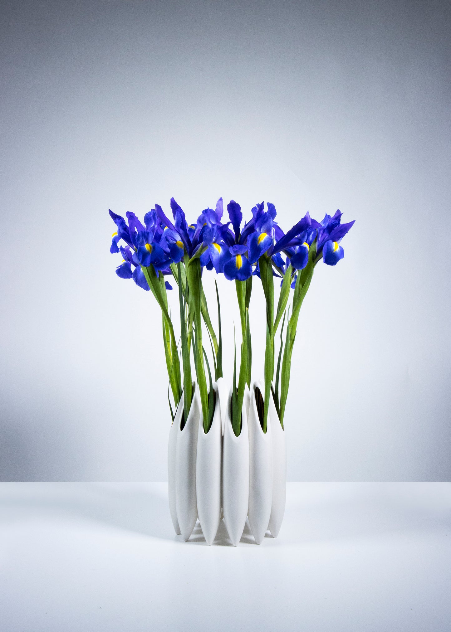 Seed Pod Wreath Vase