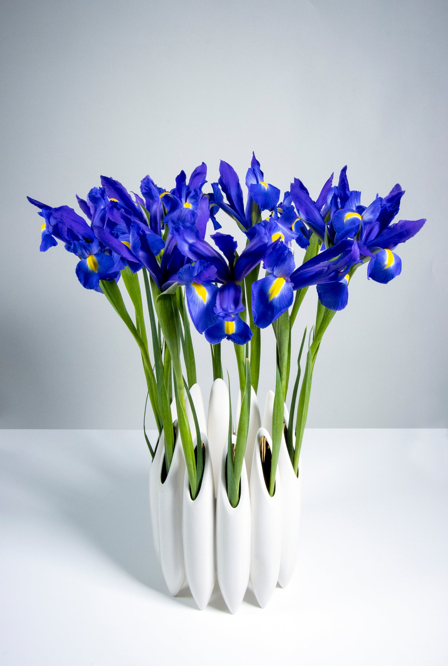 Seed Pod Wreath Vase